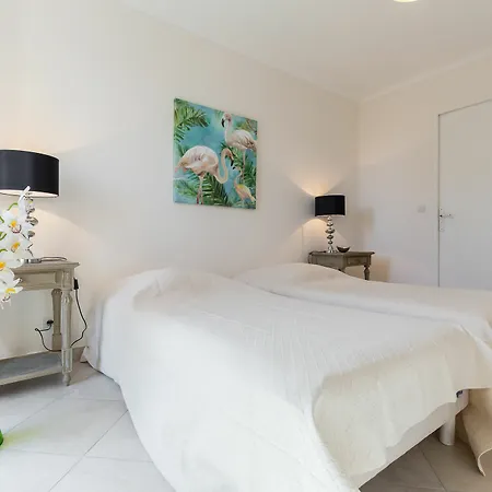 Apartment Modern 3 Bedroom, 3 Bathroom Near Old Town Walking Distance To Palais 330 Cannes